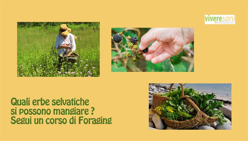 Foraging, alla ricerca delle erbe selvatiche Foraging, alla ricerca delle erbe selvatiche